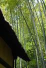 翠竹草庐仰高风