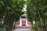 圣地竹韵