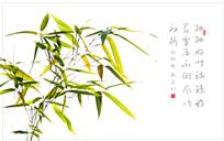 咏竹
