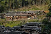 竹林深处有人家