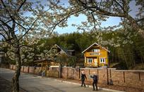 建设新农村