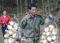 丰收喜悦