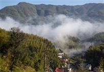 竹林小山村