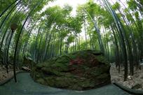 十面埋伏