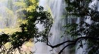 《竹林飞瀑》