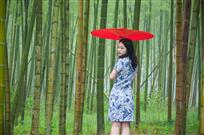 竹林里的少女