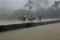 风雨人生