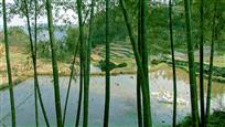 村头小景