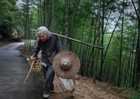 山道弯弯