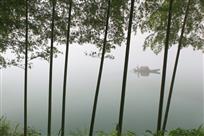 雾中行舟