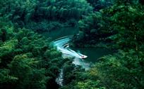 竹海飞舟
