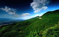 竹韵天地间