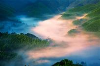 《竹海晨光》