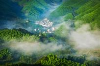 《绿色家园》