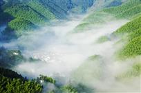 《右龙竹海云雾缭绕》
