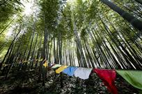 竹林飘幡