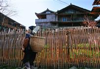 回家