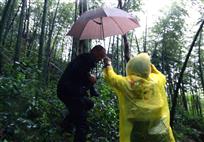 雨中情