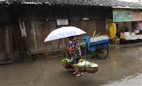 雨中