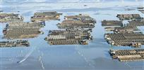 蛟龙出海