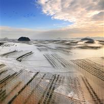 天风海涛
