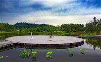 湿地引凤春满园