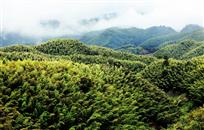 日照香炉生紫烟