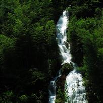 疑是银河落竹海