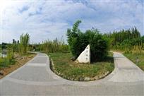 竹乡小路