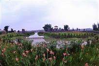 水岸果乡湿地公园
