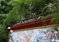 园中小景