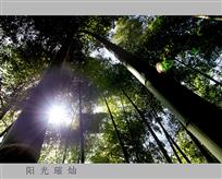 阳光璀灿