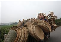 进城