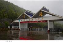 喜逢春雨