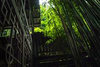 翠竹幽居
