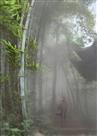 一蓑烟雨任平生