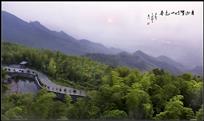 《请山翠竹一色春》
