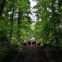 独守禅院