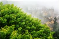 竹海人家