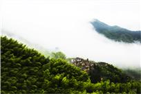 竹乡雾海