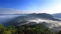 青青大别山