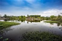 青神湿地
