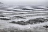 竹海