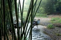 山间铃响马帮来