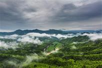 《梦幻家园》