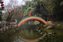 《春色满园》