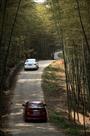 山路弯弯