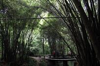 穹