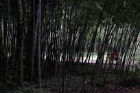 人约黄昏后