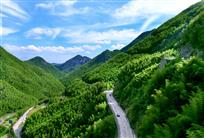 【徜徉青山中】